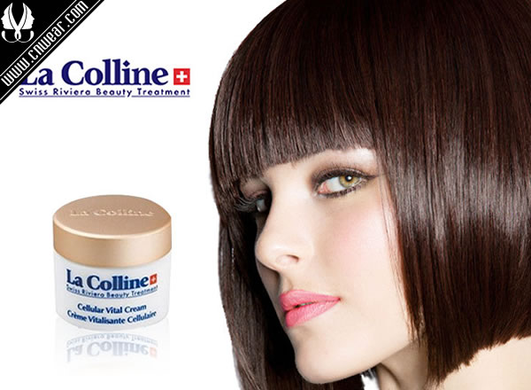 LA COLLINE (科麗妍)品牌形象展示