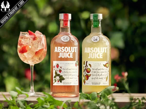 ABSOLUT (絕對伏特加)品牌形象展示