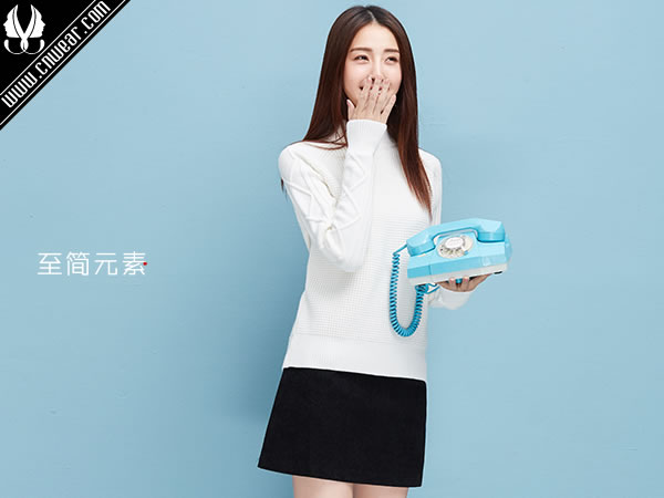 至簡(jiǎn)元素品牌形象展示