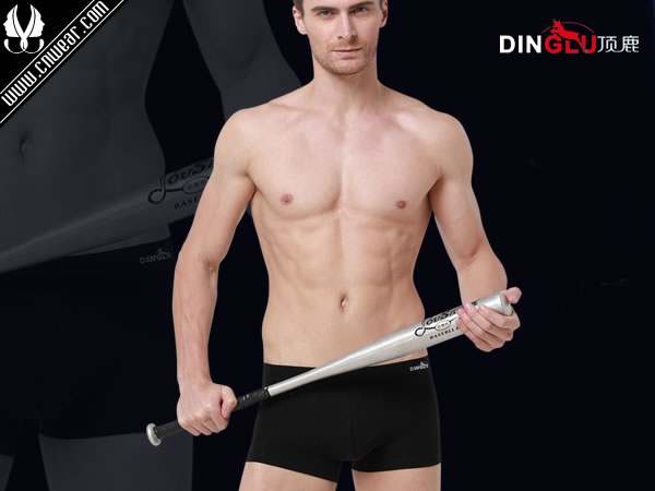 頂鹿 DINGLU品牌形象展示