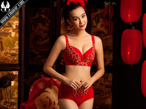 愛的誘惑 (內衣)品牌形象展示